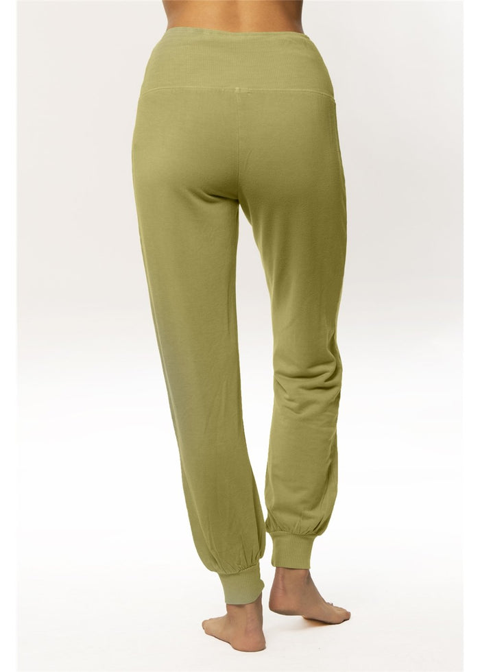 Amuse Society Women's Eternity Knit Pant in Cactus. Back View on Model.