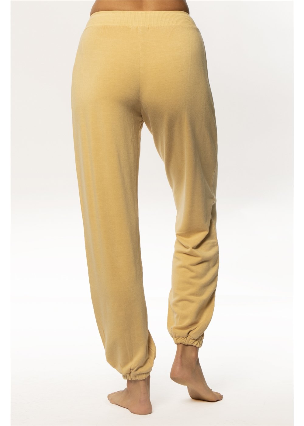 Amuse Society Women's Mia Rose Knit Pant in Marigold. back view