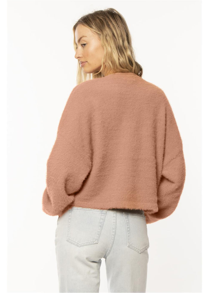 Amuse Society Nani Long Sleeve Sweater in Gingersnap. back view on model