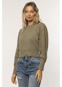 Amuse Society Women's Noha Long Sleeve Sweater in Willow. front view