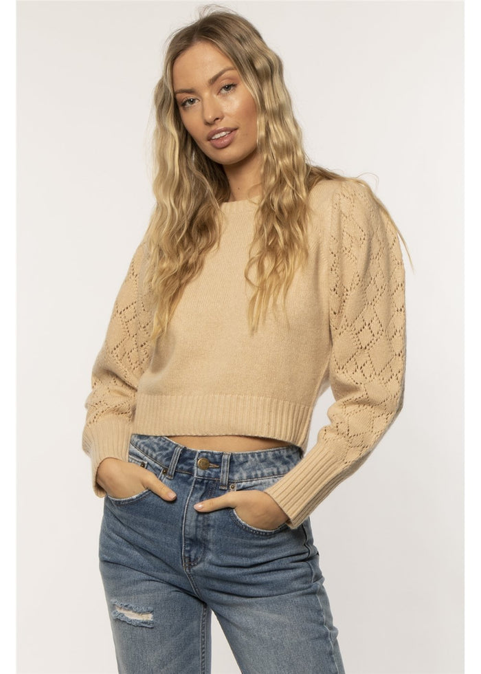 Amuse Society Women's Noha Long Sleeve Sweater in Desert Mist. front view